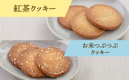【お中元対象】【 ギフトBOX 】 焼き菓子 8種 詰め合わせ セット 桂川町/order made cake Toi Toi [ADAW002] 焼き菓子 セット 菓子ギフト 詰め合わせ