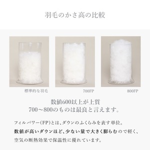 800FPダウンピロー（ポーランド産ホワイトマザーグースダウン使用） [h298]