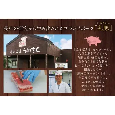 Y04-08 乳豚粗挽きハンバーグ10個 ハンバーグ