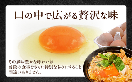 【高級】名古屋コーチン 4パック（計24個）【JGAP認証】飼料にこだわった 採れたて卵 新鮮 希少 たまご 安心 安全 農家直送 たまごかけご飯 生卵 美味しい卵 愛知県 常滑市