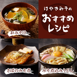 手作り　無添加　けやきみそ　1kg(500g×2個)　みそ 大豆 無添加 米麹 食塩 手作り 味噌 無添加 大豆 食塩