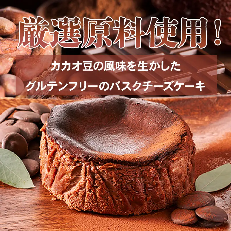 ショコラのバスクチーズケーキ ケーキ B100-022