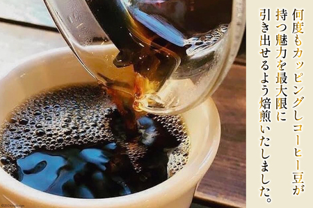 コーヒー 焙煎士おススメ コーヒー豆 セット 200g 3種 計600g [アンカーコーヒー 宮城県 気仙沼市 20565128]