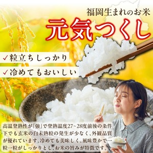 【先行受付】元気つくし（精米）9kg【令和7年度産米】_先行受付 米 元気つくし 精米 9kg 令和7年度産 受注後 鮮度抜群 新鮮 福岡生まれ 風味豊か 旨み 粒立ちしっかり 冷めても美味しい 白米 ご飯 お米 弁当 おにぎり 白ご飯 福岡県産 お取り寄せ 福岡県 久留米市 送料無料 〔Gr049〕