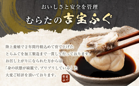 【3ヶ月定期便】〈お一人様用〉とらふぐフルコース  吉宝ふぐ『焼きひれ／特製ポン酢／もみじおろし付き』