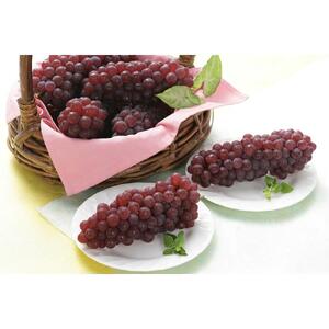 【2026年7月上旬～発送】【先行予約】 種無し デラウエア 2kg（8～12房）