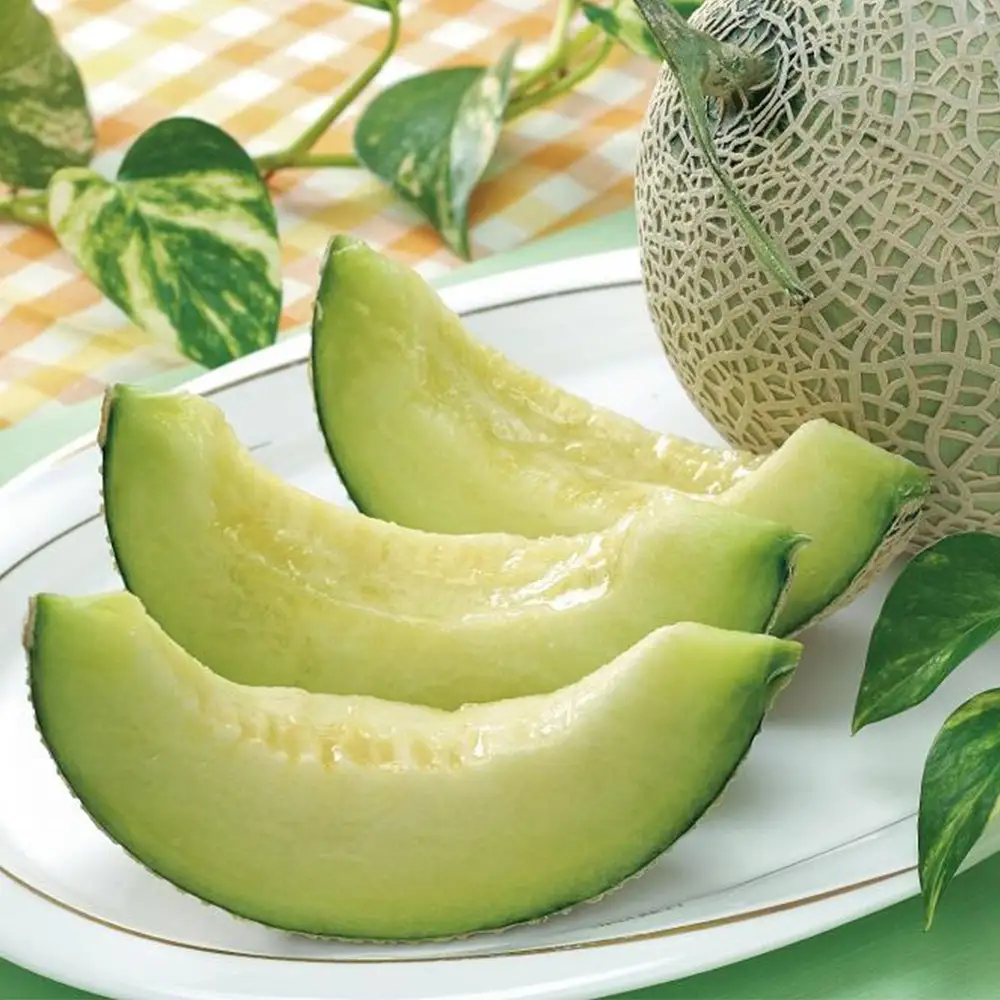 【2026年 先行予約】石川 アールスメロン 1.3kg×2個