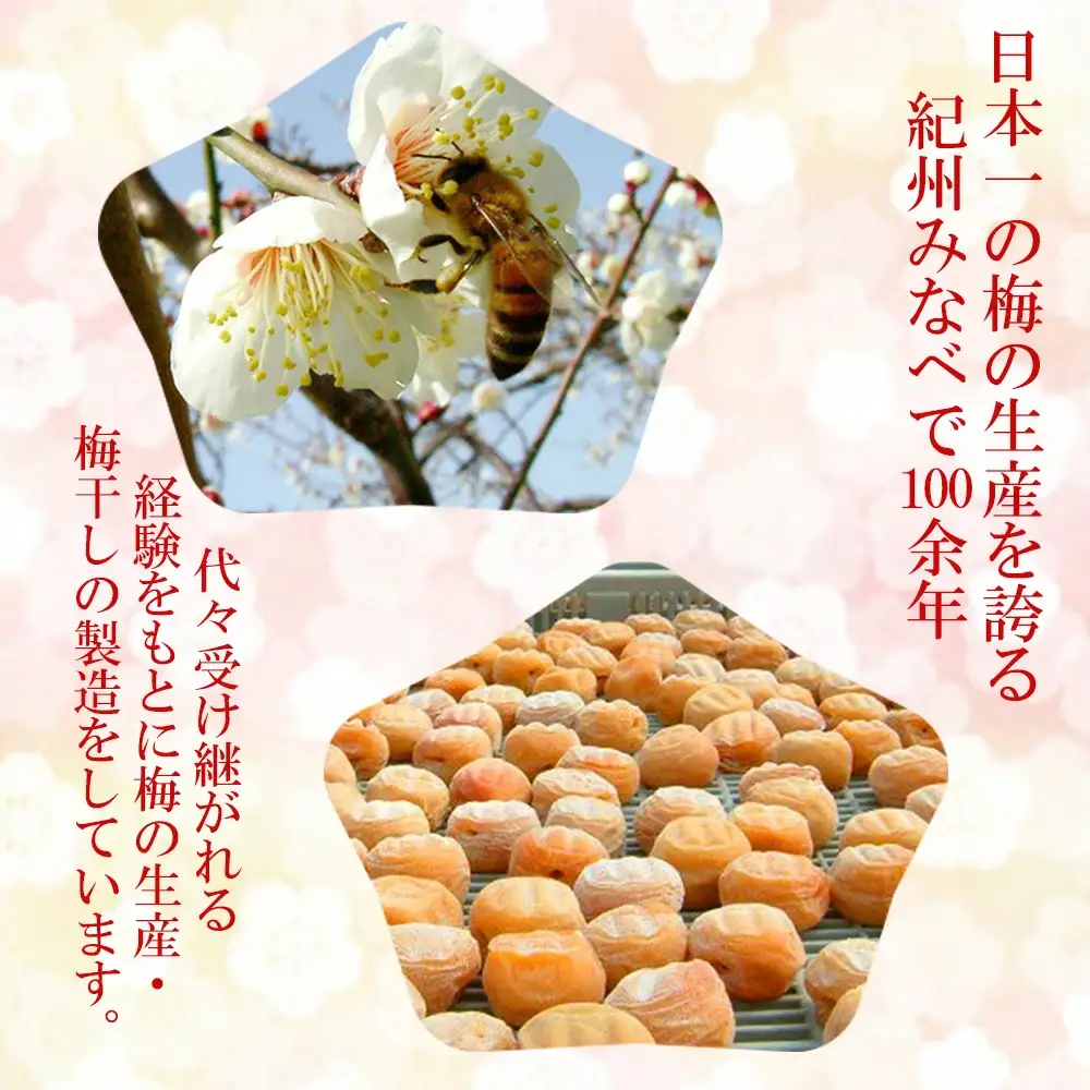 紀州南高梅 種ぬきはちみつ梅 600g 塩分7％（200g×3）tkdkaen005A【tkdkaen005A】