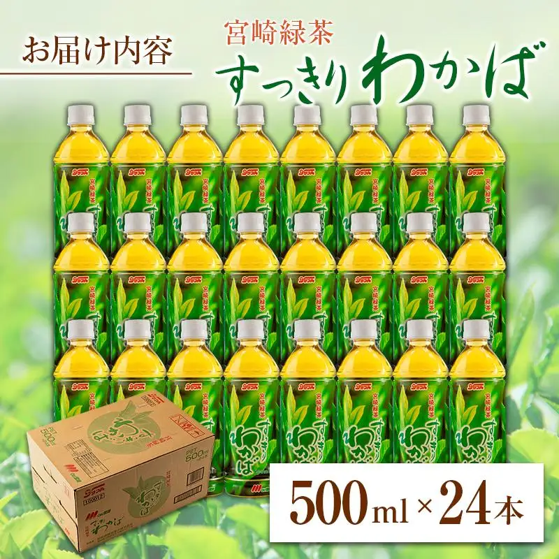 宮崎緑茶 すっきりわかば 500ml×24本 ペットボトル サンA