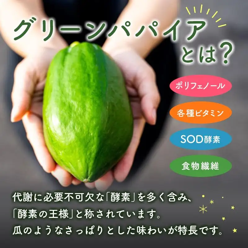 クラフト酵素シロップ グリーンパパイア 250ml×2個 宮崎県産