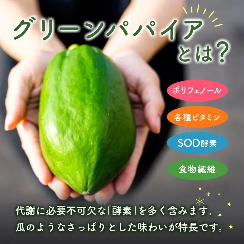 グリーンパパイアティー 2種 セット (果実茶＆葉茶) ティーバッグ 計4袋 宮崎県産