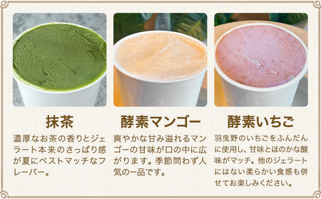 酵素ジェラート 6個セット
