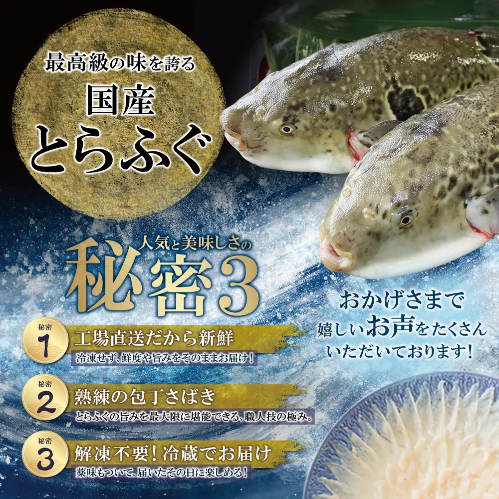Y01-01 とらふぐ刺し（3人前）≪2026年6月以降順次発送≫  とらふぐ