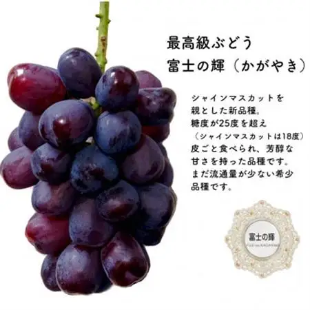 富士の輝　大房800g以上　1房【配送不可地域：離島】【1525932】