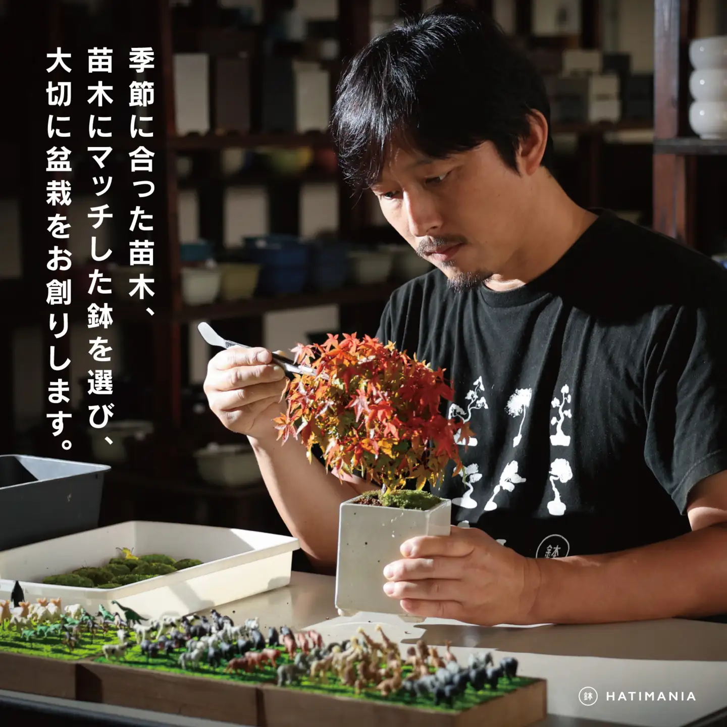 「デスクトップ盆栽」という新提案を四日市から（ミニチュアなし）