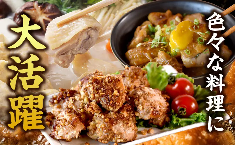 宮崎県産若鶏切身5.1kg 鶏肉