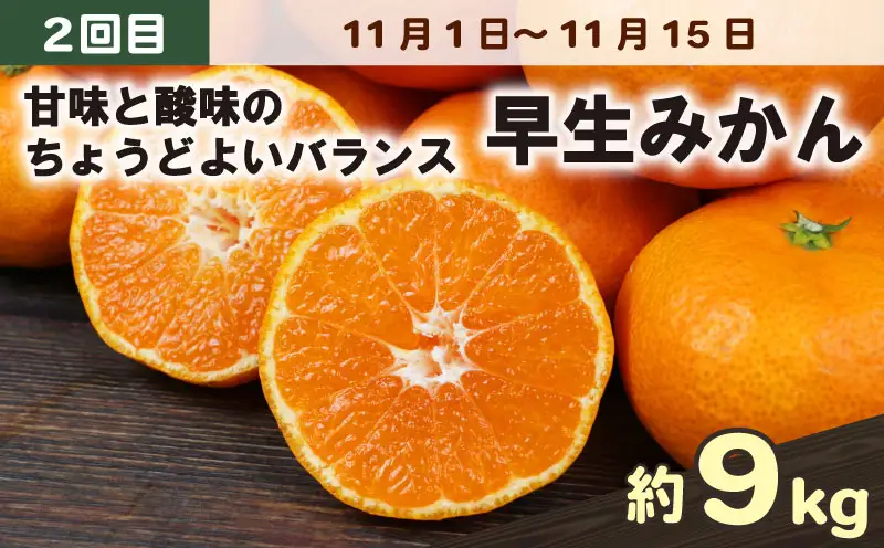 愛媛みかん 旬の みかん 定期便 3回 家庭用 9kg ×3回 極早生 早生 中生 兵頭農園 先行予約 温州 ごくわせ わせ なかて 3ヶ月 mikan 愛媛ミカン 愛媛蜜柑 果物 くだもの フルーツ 柑橘 甘い ジューシー 果肉 蜜柑 産地直送 農家直送 数量限定 国産 愛媛 宇和島 B036-055006