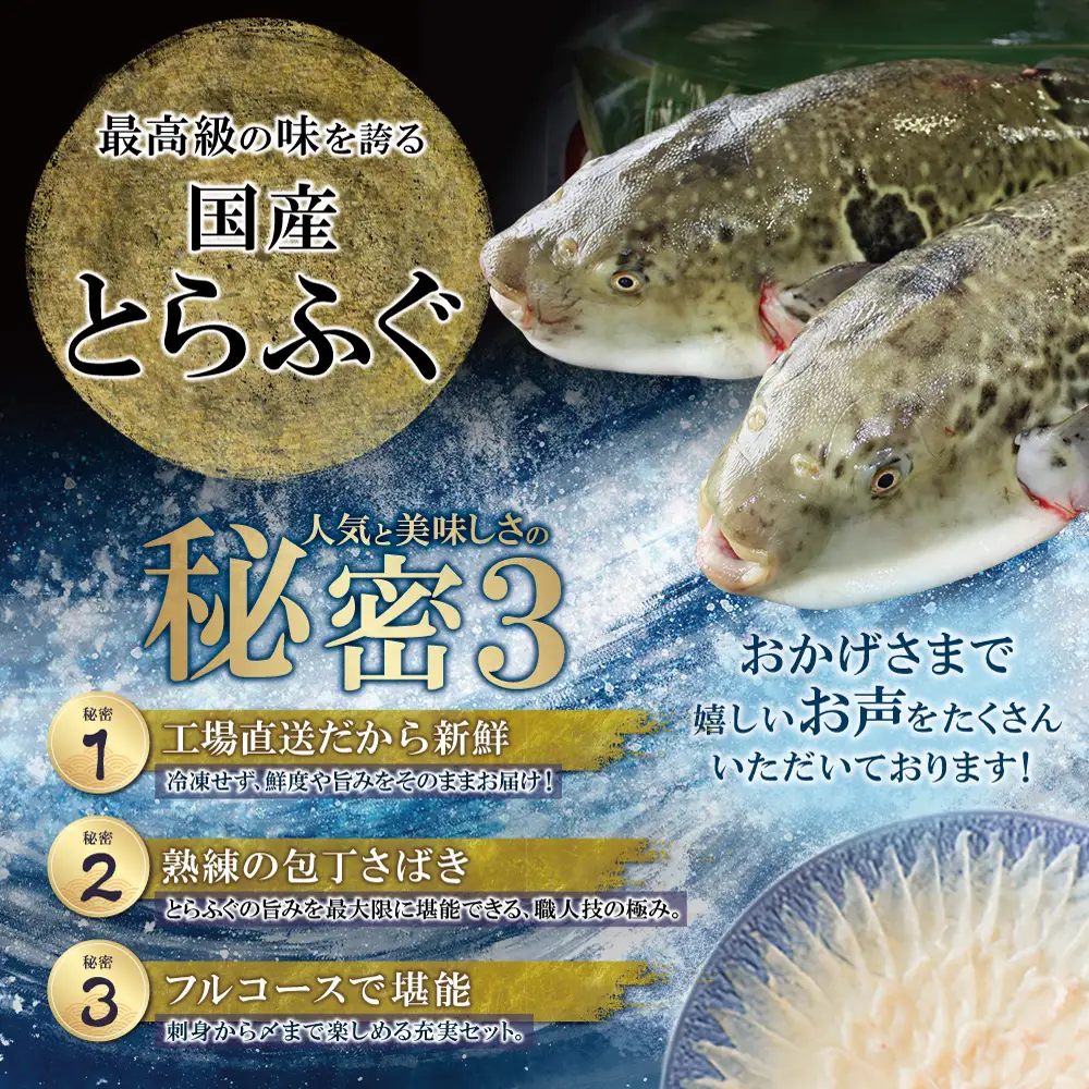 Y01-02 とらふぐセット（3人前）≪2026年6月以降順次発送≫  ふぐ