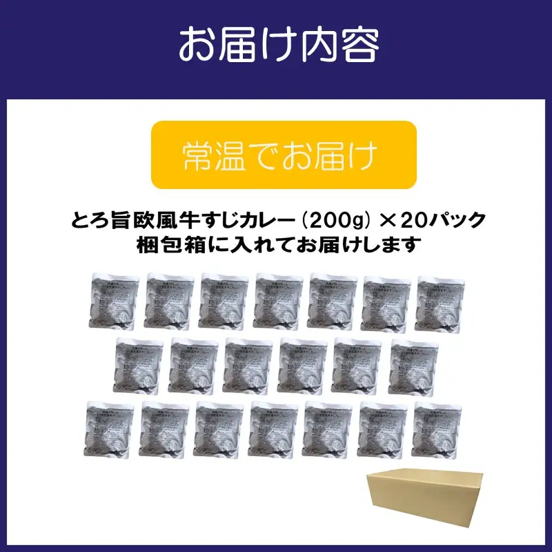 とろ旨欧風牛すじカレー（200g×20パック）【069C-001】