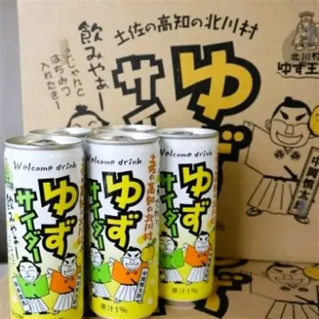 【毎月定期便】ゆずサイダー30本/1ケース全3回【4052624】