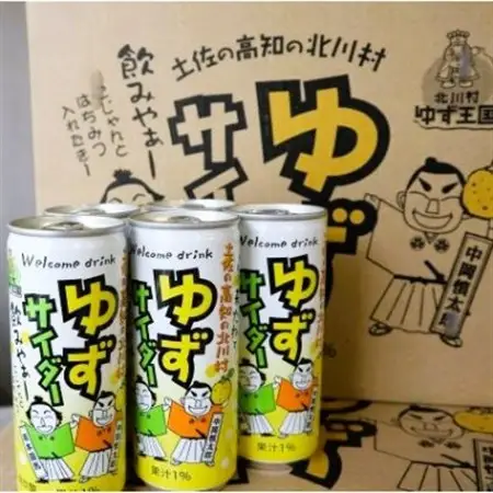 【毎月定期便】ゆずサイダー30本/1ケース全6回【4052673】