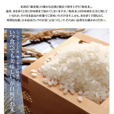 Z17-86 寄附額改定↓↓ 無洗米 元気つくし10kg定期便(毎月・年12回)