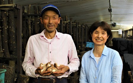 昔なつかしい 原木生しいたけ 椎茸 シイタケ 濃厚 香り 旨みたっぷり だし うまみ ワンランク上 F21K-012