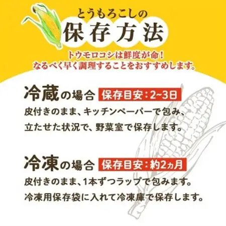 【2026年 先行受付】十勝 恵味ゴールド 10本 2Lサイズ 甘いスイートコーン 北海道 帯広市_野菜 とうもろこし  トウモロコシ_【配送不可地域：離島】【1499657】