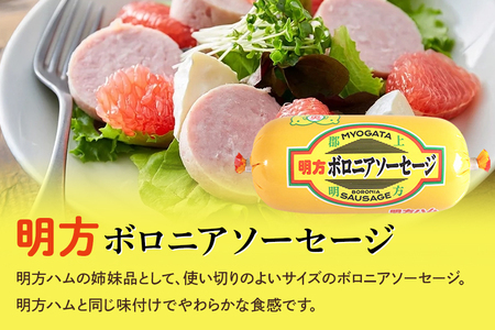 明方ハム Aセット │ 国産 豚肉 肉 惣菜 おかず 弁当 おつまみ ステーキ A12-001