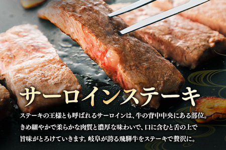 飛騨牛 A5～4等級 サーロインステーキ3枚 約540g (約180g×3枚) │ 国産 牛肉 和牛 ブランド ステーキ (A01-008)