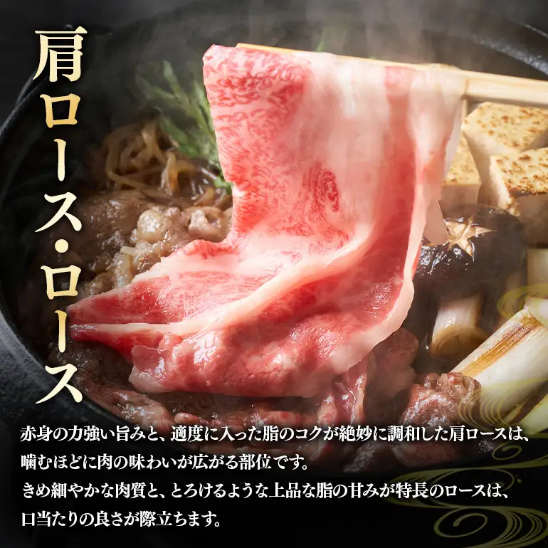 飛騨牛 A5～4等級 スペシャルセットB (A01-024)