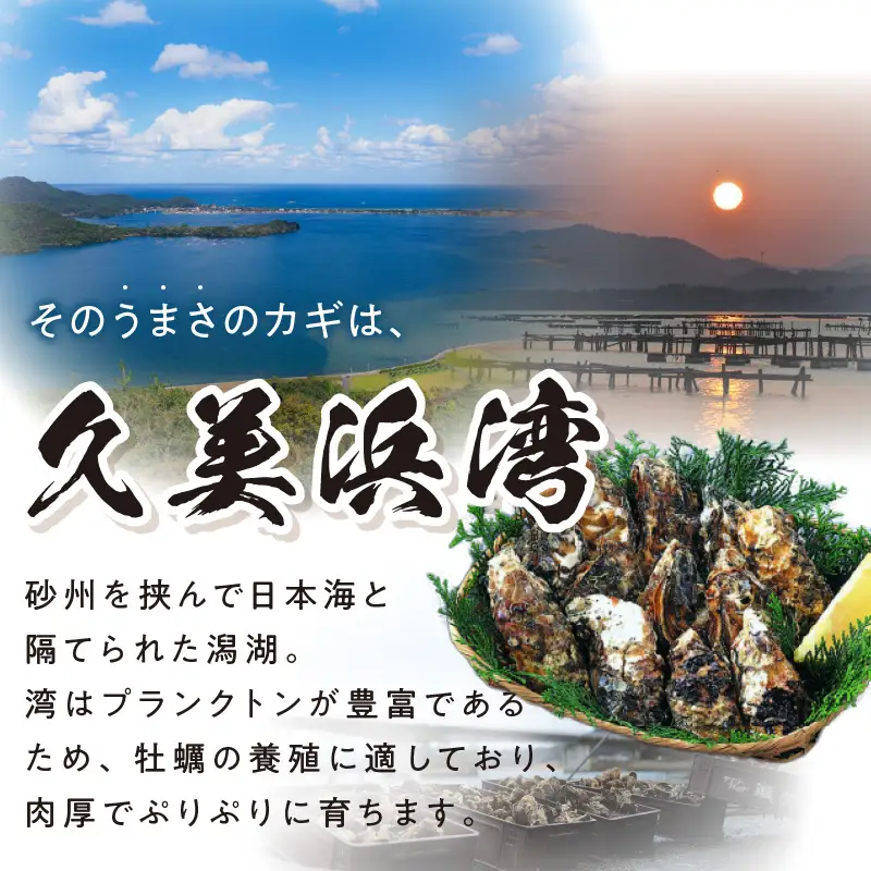 牡蠣 殻付き約20個 牡蠣