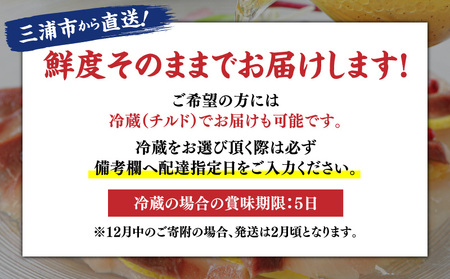 活〆 新鮮 ぶり フィレ 1枚（ 半身 ） M079-010-01 魚 冷凍