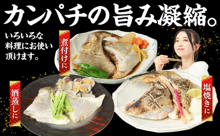 新鮮カンパチ カマ干物 約2kg M079-012-04 冷凍 加工品
