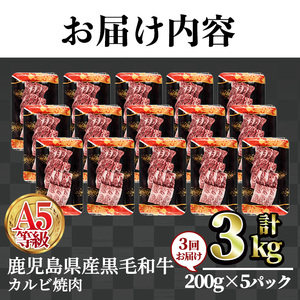 ＜定期便・全3回＞ A5等級 鹿児島県産 黒毛和牛 カルビ 焼肉 (計3kg・200g×5パック×3回) 【LRプラスK】T23-v01