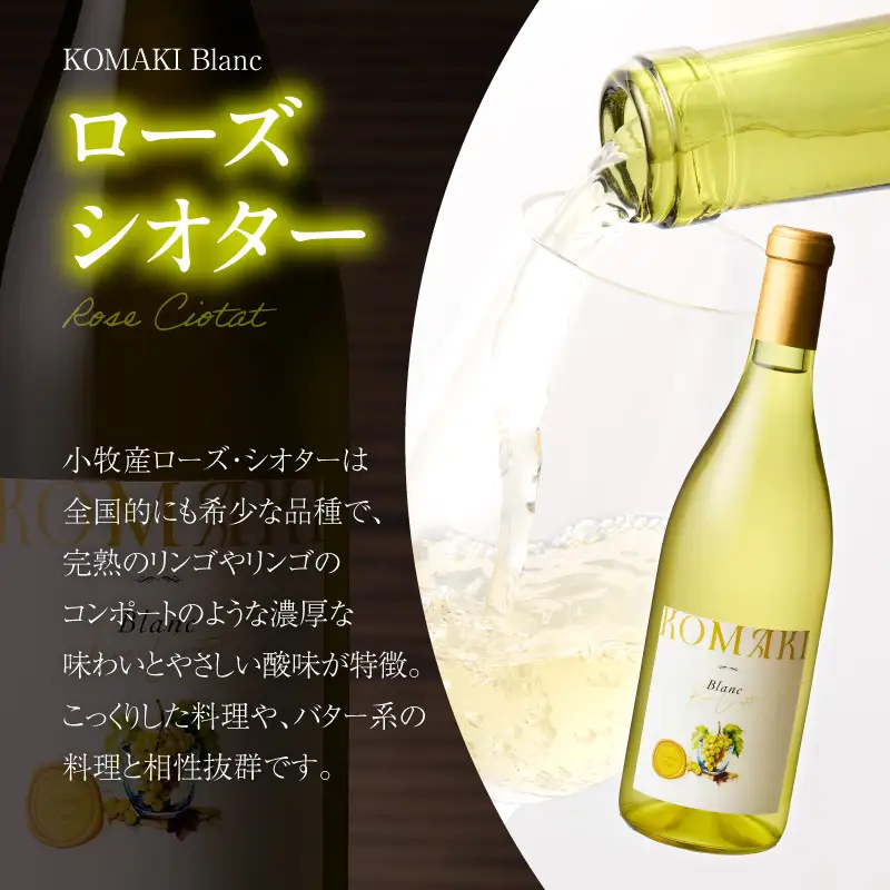 小牧ワイナリ―　赤・白ワイン２本セット（小牧産ぶどう100％使用）[026A10]　 軽口ワイン 葡萄 ぶどう ブドウ ヤマ・ソービニオン ローズ・シオター 国産ワイン 酒 飲料 アルコール ギフト 贈り物 贈答 ワイン飲み比べ ワインセット