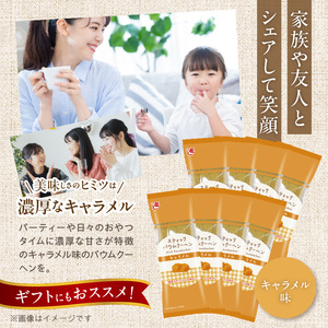 エースベーカリー　スティックバウムクーヘン　キャラメル味　8本入[134T10] バウムクーヘン バームクーヘン おやつ おかし スイーツ お菓子 個包装