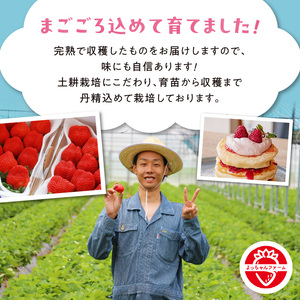 あまおう使用 いちごジャム140g×4瓶_あまおう使用 いちごジャム140g×4瓶 〔Ca042〕