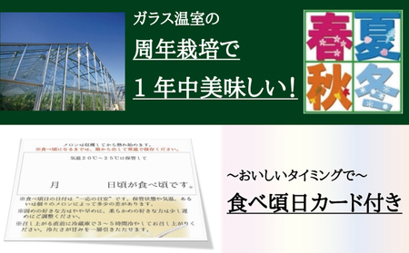 クラウンメロン 3玉 白等級 メロン 果物 フルーツ 旬の果物 旬のフルーツ 青肉 高級フルーツ マスクメロン 静岡 森町