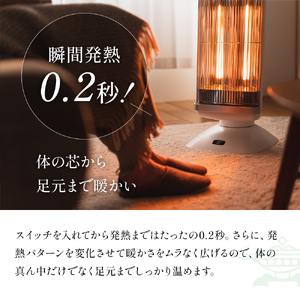 【まこぴー】アラジン 涼風暖房機 CAD-G12A グラファイトヒーター アラジン 脱衣所暖房機（壁面取付・100V・コンセント付） 【宅配商品