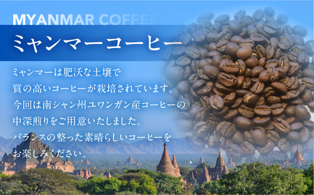 スペシャルティコーヒー豆 ミャンマーウォッシュド 200g×2　計400g【TAIYO COFFEE ROASTERS】ミャンマー 珈琲 コーヒー コーヒー豆 スペシャルティ スペシャリティ 下呂市【102-4】