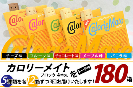【3回定期便：合計180箱】 カロリーメイト ブロック 4本入り 5種類 各12箱 計60箱【大塚製薬 定期便 チョコ バニラ メープル チーズ フルーツ 5大栄養素 徳島県 那賀町 非常食 常備食 災害 新生活 備蓄 長期保存 栄養食】MS-2-3