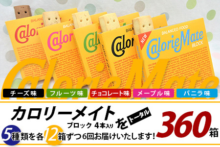 【6回定期便：合計360箱】 カロリーメイト ブロック 4本入り 5種類 各12箱 計60箱【大塚製薬 定期便 チョコ バニラ メープル チーズ フルーツ 5大栄養素 徳島県 那賀町 非常食 常備食 災害 新生活 備蓄 長期保存 栄養食】MS-2-6