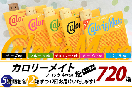 【12回定期便：合計720箱】 カロリーメイト ブロック 4本入り 5種類 各12箱 計60箱【大塚製薬 定期便 チョコ バニラ メープル チーズ フルーツ 5大栄養素 徳島県 那賀町 非常食 常備食 災害 新生活 備蓄 長期保存 栄養食】MS-2-12