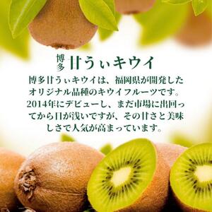 【2026年11月上旬より順次発送】博多甘うぃキウイ(あまうぃ)大玉 9玉入り 1.4kg相当 うまうまもぐもぐ