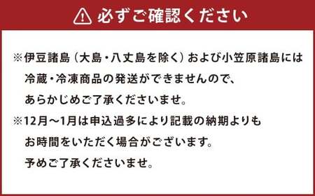 【7営業日以内発送】【こじま特製】長崎名物 角煮まん 10個入り 角煮 饅頭 角煮まんじゅう 惣菜 レンチン 簡単