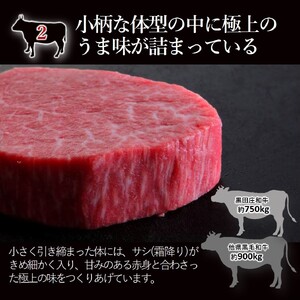 神戸ビーフ素牛・黒田庄和牛 焼肉切り落とし300g (tokusan-39)