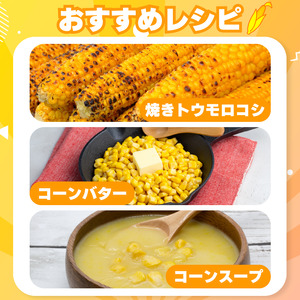 【 2026年発送 とうもろこし 】 甘々娘 4kg ｜ とうもろこし