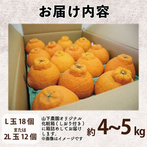 【不知火】 約 4kg から 5kg（L玉18個 または 2L玉 12個) 不知火 みかん しらぬい