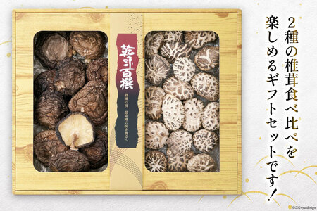 宮崎県産 乾椎茸 食べ比べ セット 天白 どんこ 80g 香信 40g 2種 合計120g 肉厚 [岡田商店 宮崎県 美郷町 31ac0044]